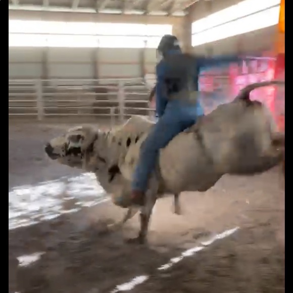 Meet your Posher, Ryan - Picture 1 of 1